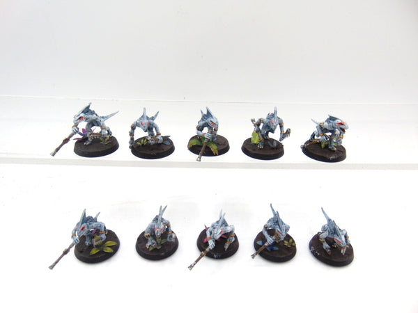 Skinks