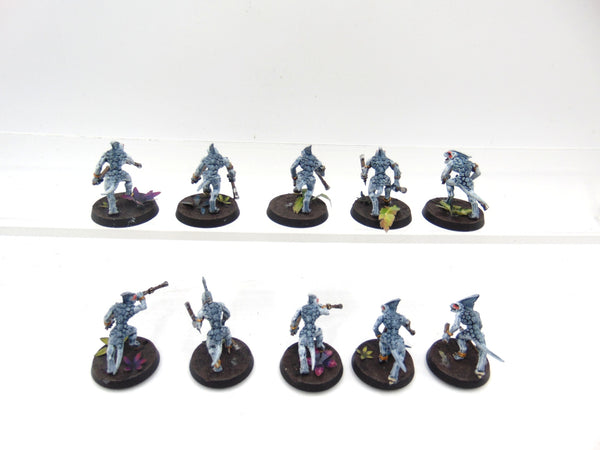 Skinks