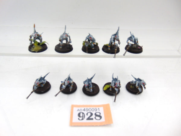 Skinks