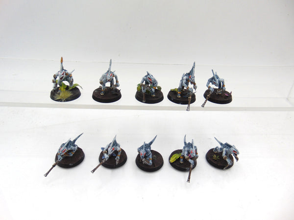 Skinks