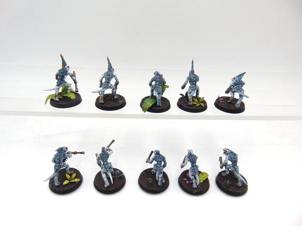 Skinks