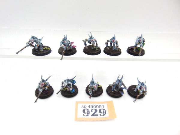 Skinks