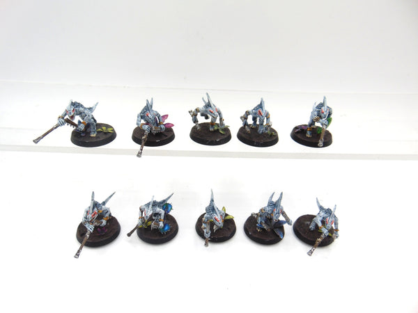 Skinks