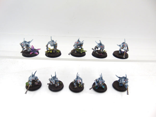 Skinks