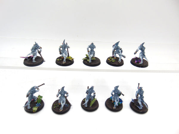 Skinks