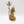 Benefictus