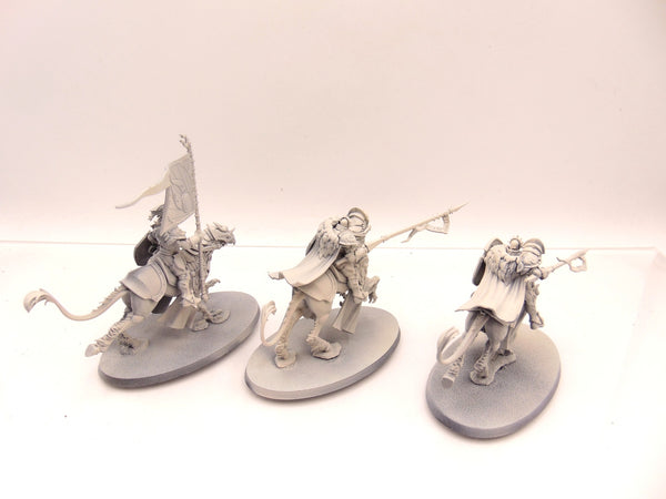 Stormstrike Palladors