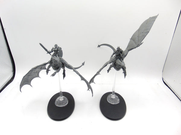 Stormdrake Guard
