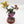 Shroomancer