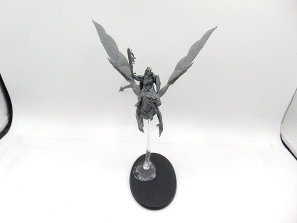 Knight Draconis