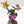 Shroomancer