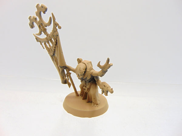 Acolyte Iconward