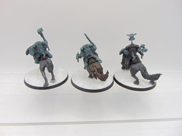 Thunderwolf Cavalry