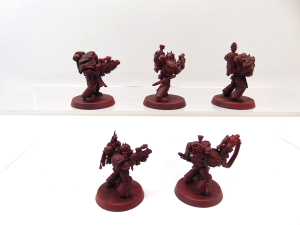 Sternguard Veterans