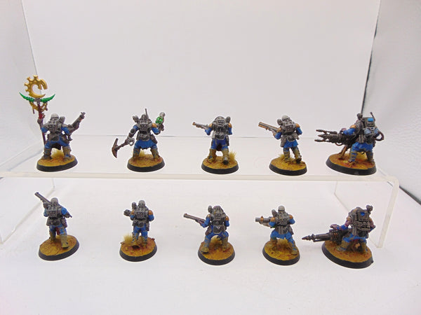 Neophyte Hybrids