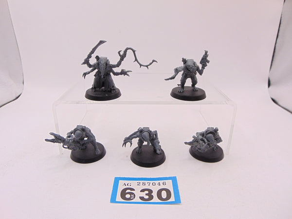 Acolyte Hybrids