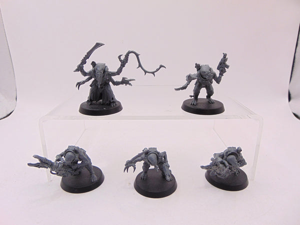 Acolyte Hybrids