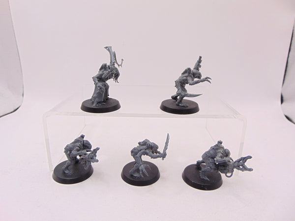 Acolyte Hybrids