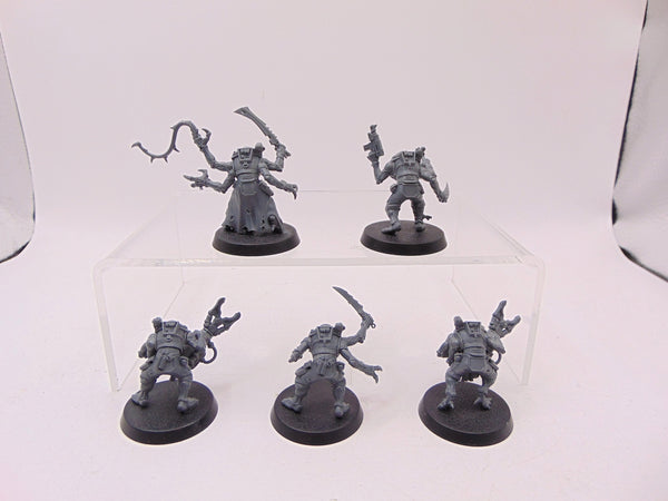 Acolyte Hybrids