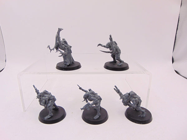 Acolyte Hybrids