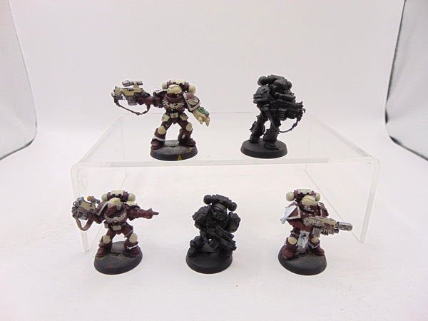 Sternguard Veterans