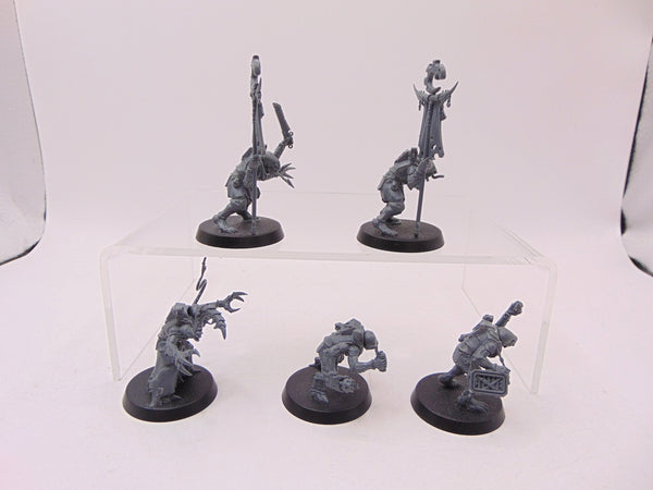 Acolyte Hybrids