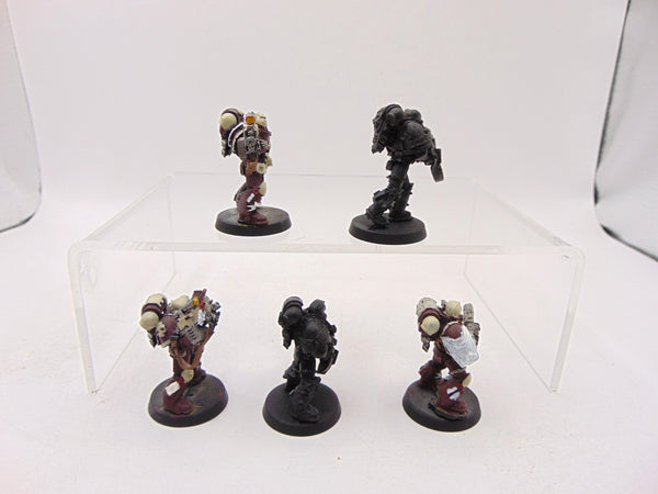 Sternguard Veterans