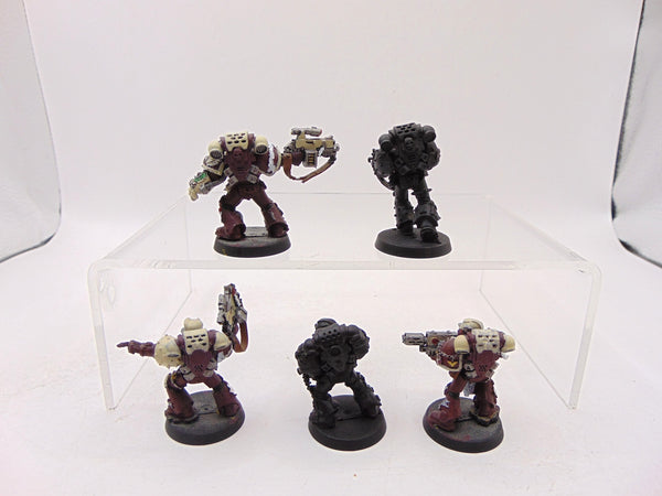 Sternguard Veterans