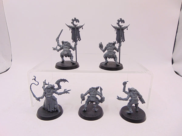 Acolyte Hybrids