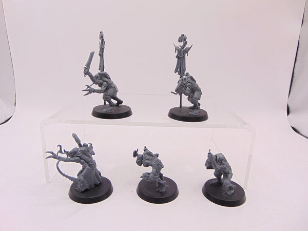 Acolyte Hybrids