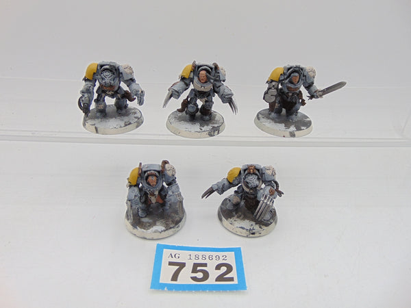 Wolf Guard Terminators