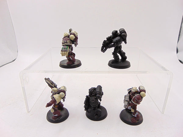 Sternguard Veterans