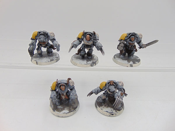 Wolf Guard Terminators