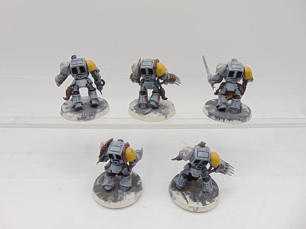 Wolf Guard Terminators