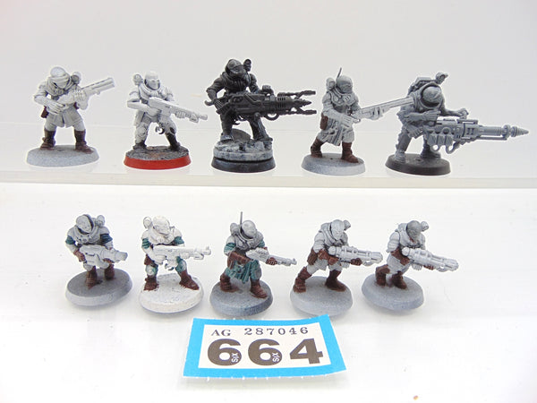 Neophyte Hybrids