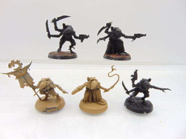 Acolyte Hybrids
