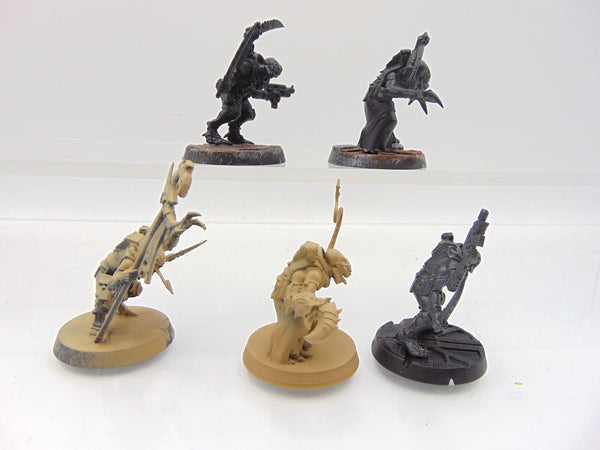 Acolyte Hybrids