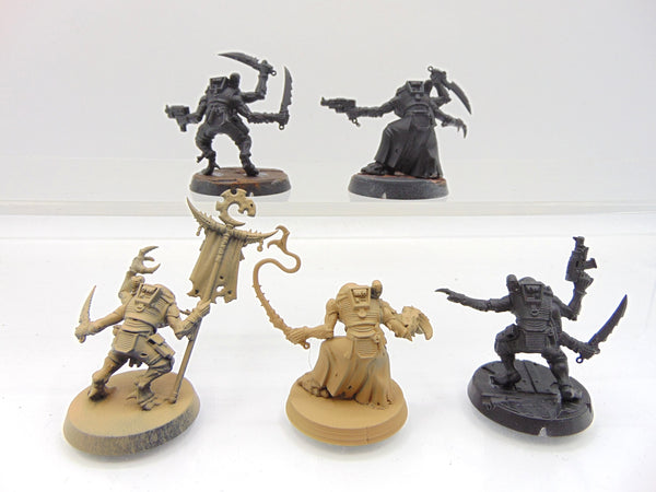 Acolyte Hybrids