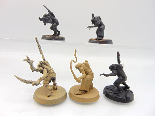 Acolyte Hybrids