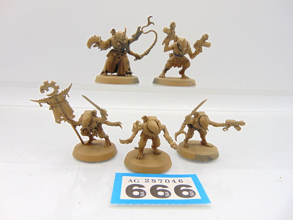 Acolyte Hybrids