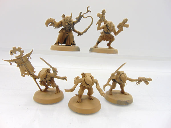 Acolyte Hybrids