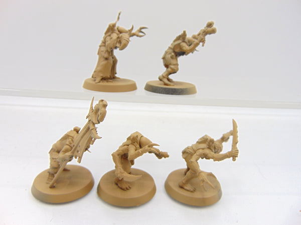 Acolyte Hybrids