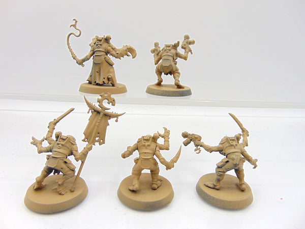 Acolyte Hybrids