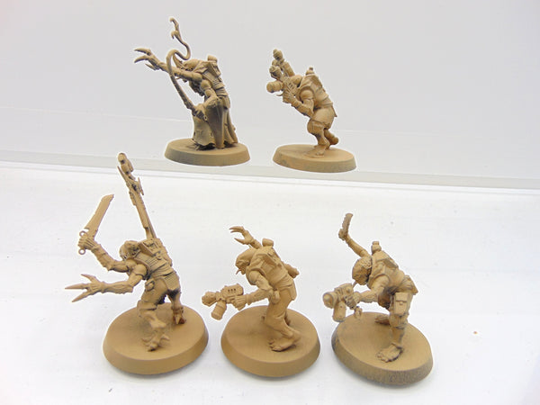 Acolyte Hybrids