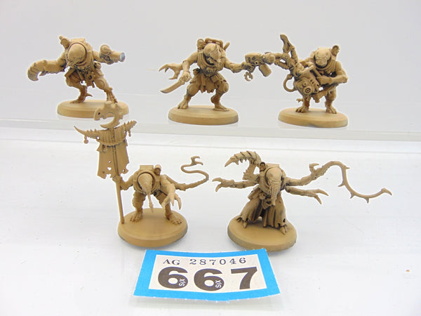 Acolyte Hybrids
