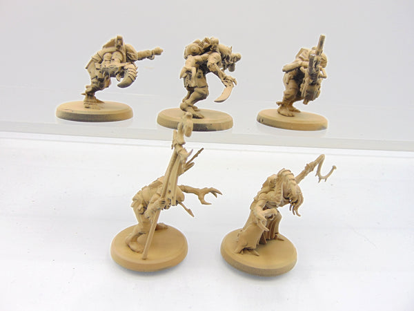 Acolyte Hybrids