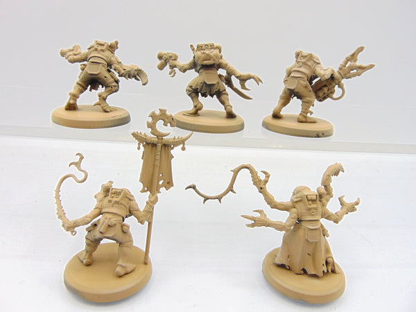 Acolyte Hybrids