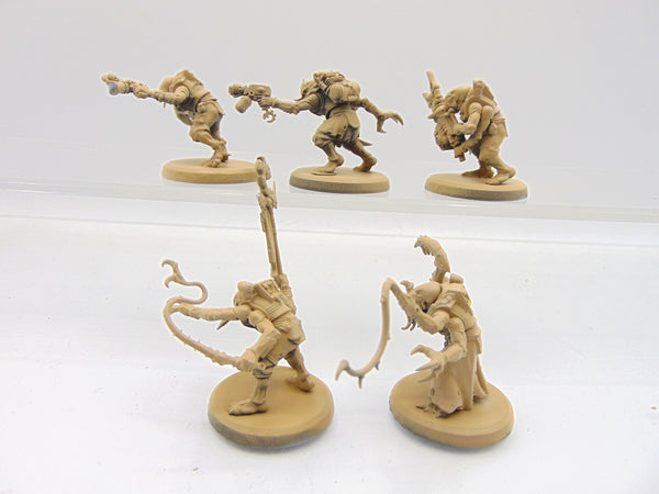 Acolyte Hybrids