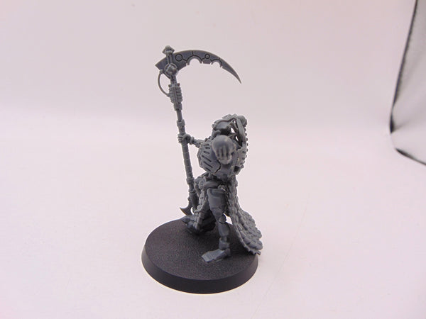 Overlord with Voidscythe