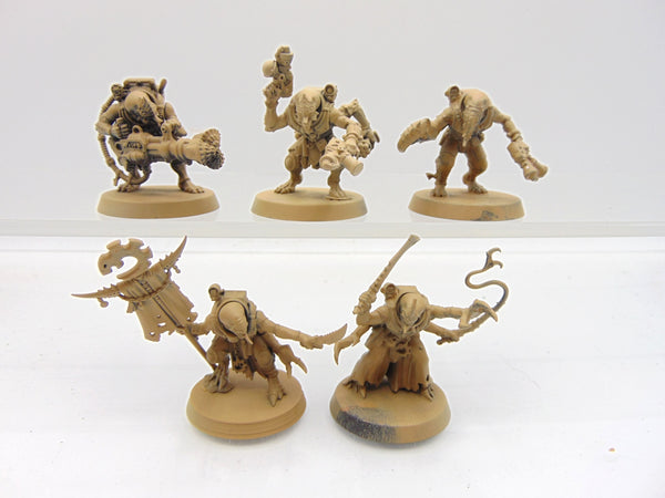 Acolyte Hybrids
